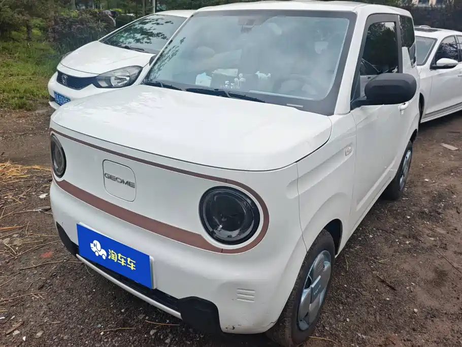 Geely Galaxy Panda 2025