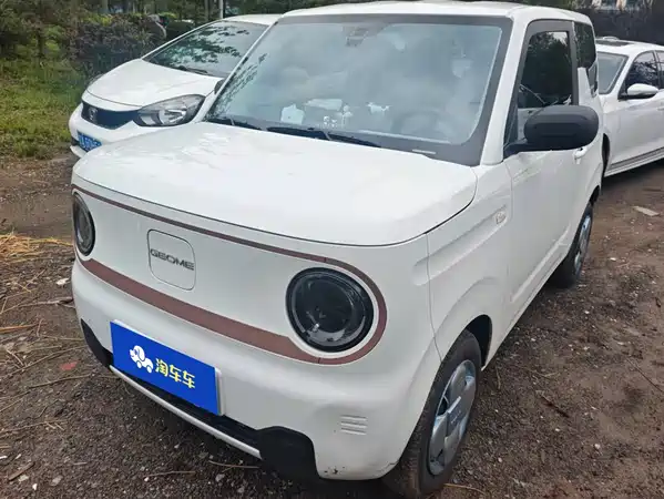 Geely Galaxy Panda 2025
