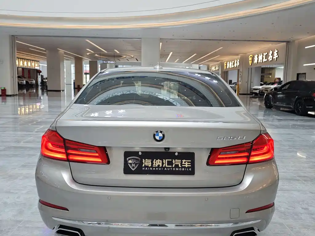 BMW 5 Series 2019