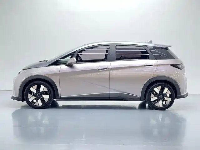 BYD Dolphin 2022