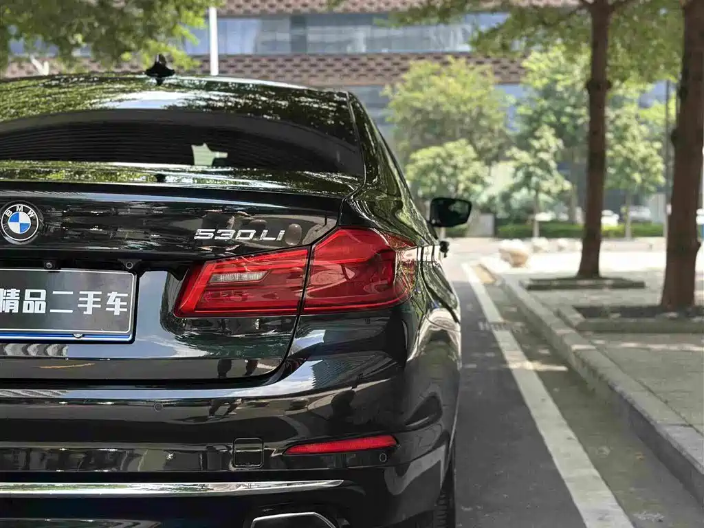 BMW 5 Series 2019 — фото 10
