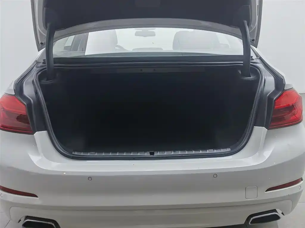 BMW 5 Series 2017 — фото 16