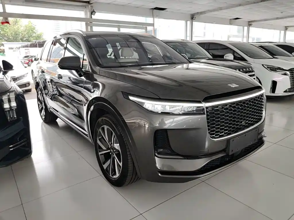 Li Auto ONE 2022 — фото 4