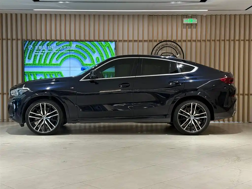 BMW X6 2019
