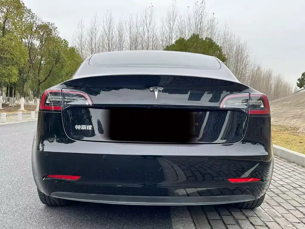 Tesla Model 3 2021 — фото 3