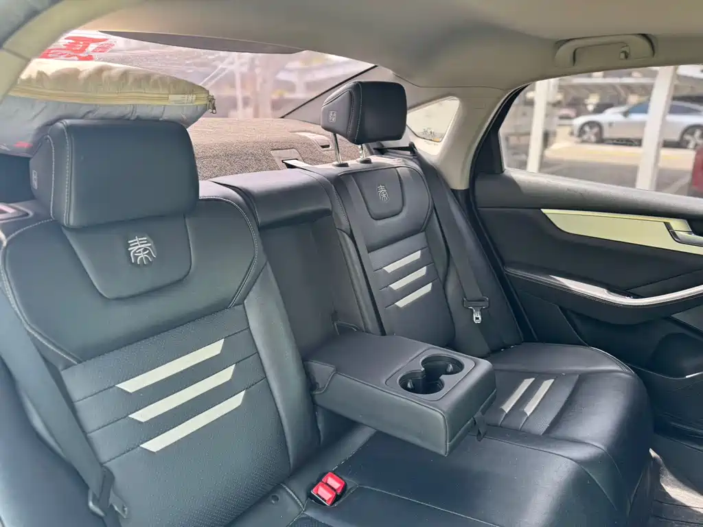 BYD Qin Pro NEV 2020 — фото 15