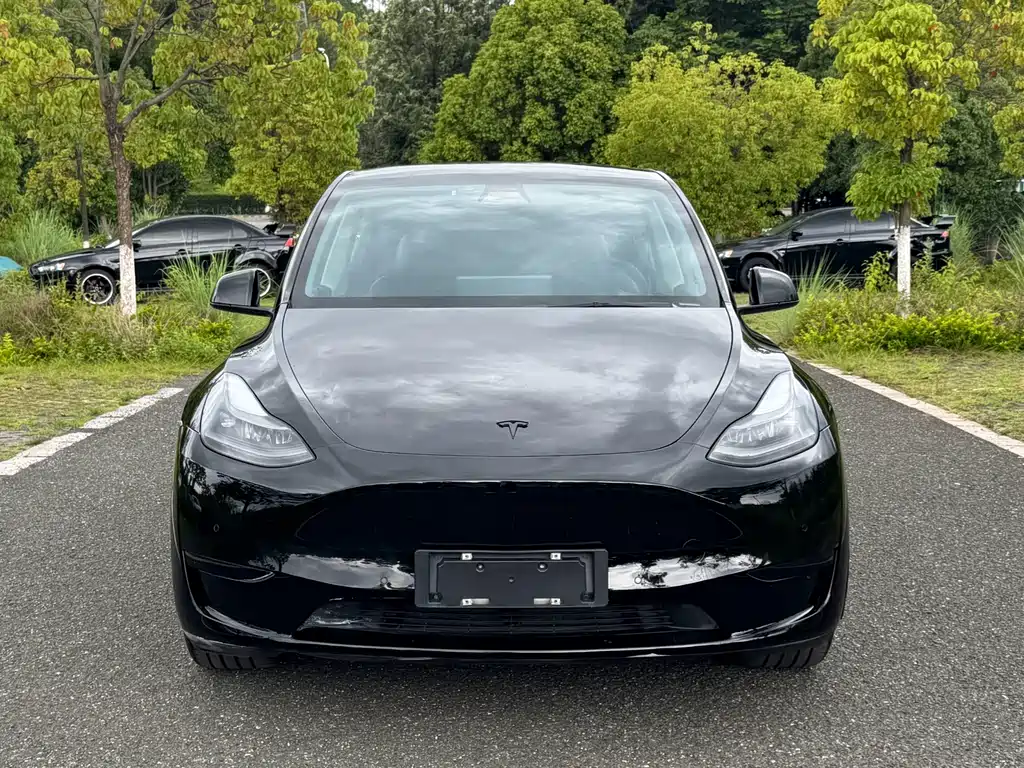 Tesla Model Y 2022 — фото 2