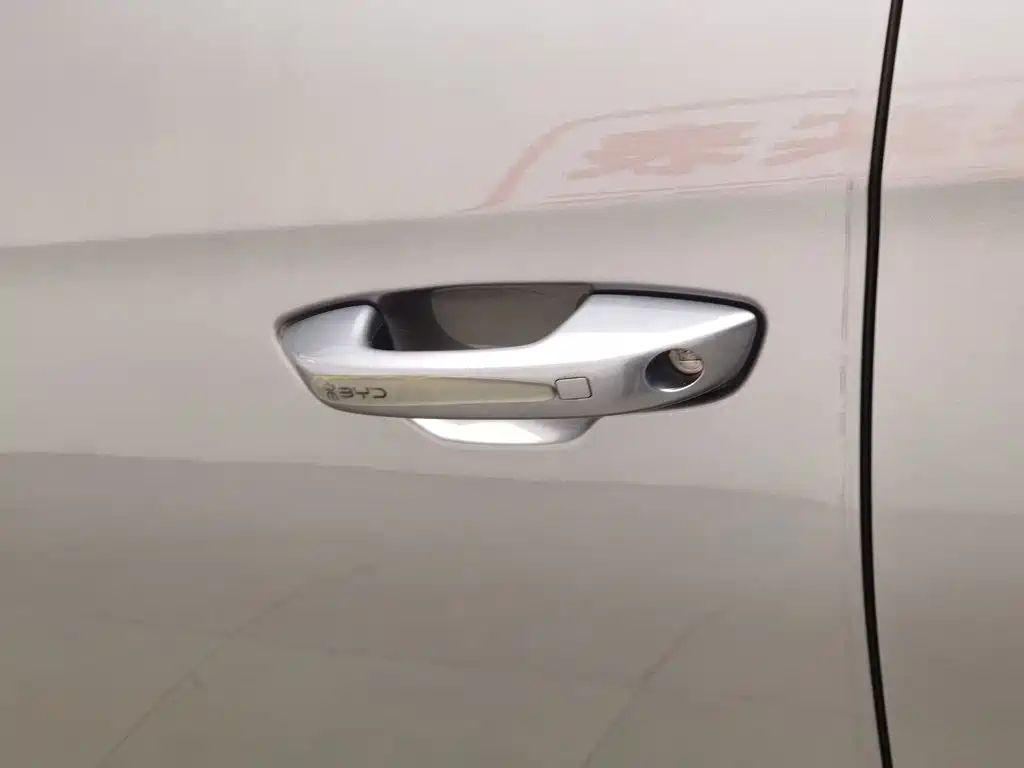 BYD Song Pro New Energy 2025 — фото 18