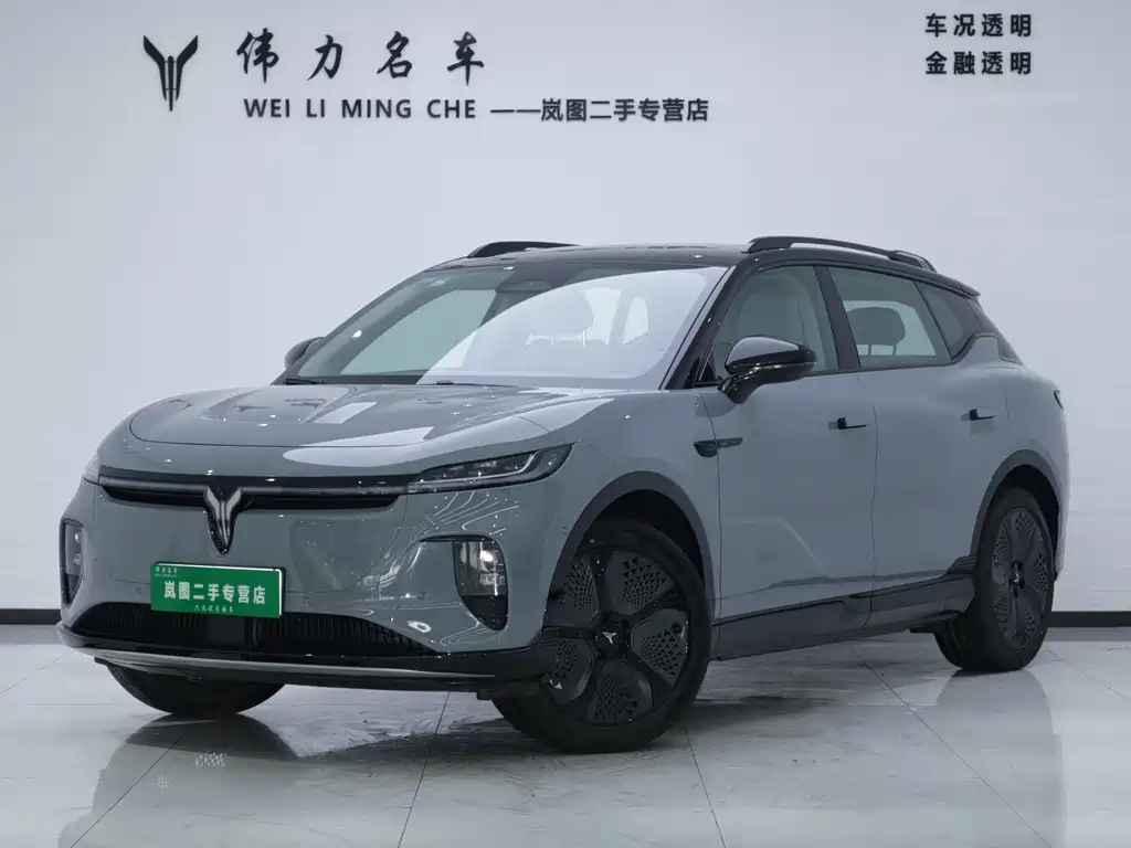 VOYAH Zhiyin 2025