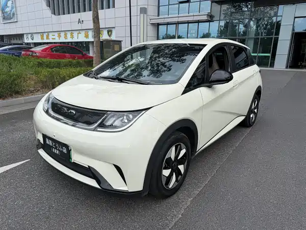 BYD Dolphin 2024