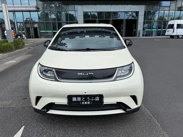 BYD Dolphin 2024