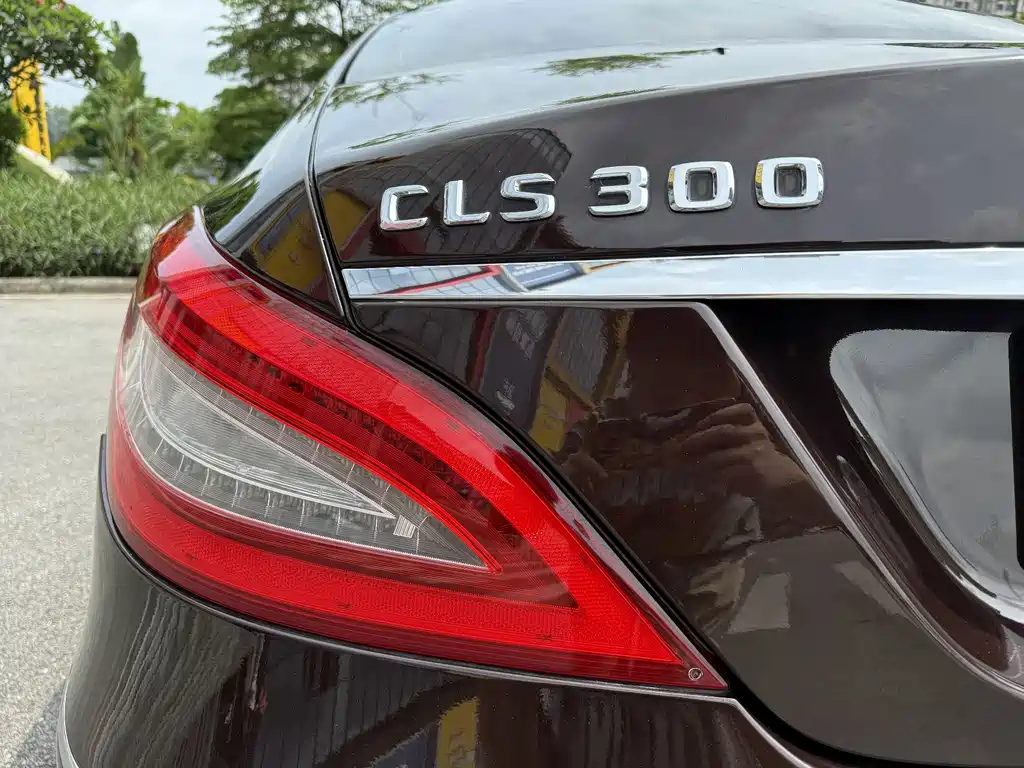 Mercedes-Benz CLS 2012 — фото 6