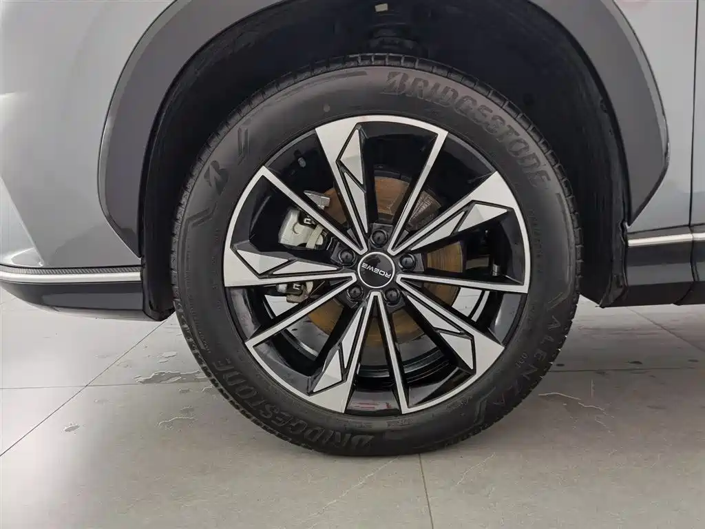 Roewe RX5 New Energy 2023 — фото 17