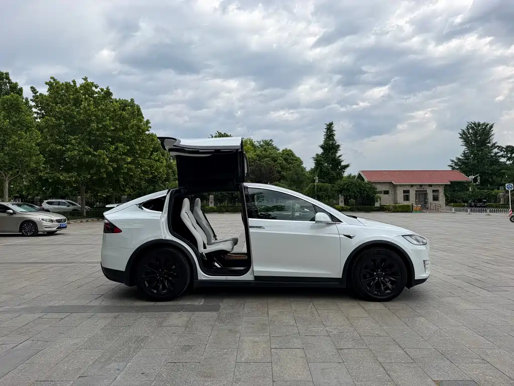 Tesla Model X 2016 — фото 8
