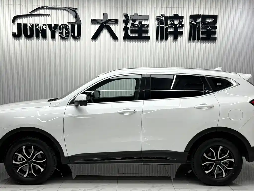 Haval H6 2024 — фото 7