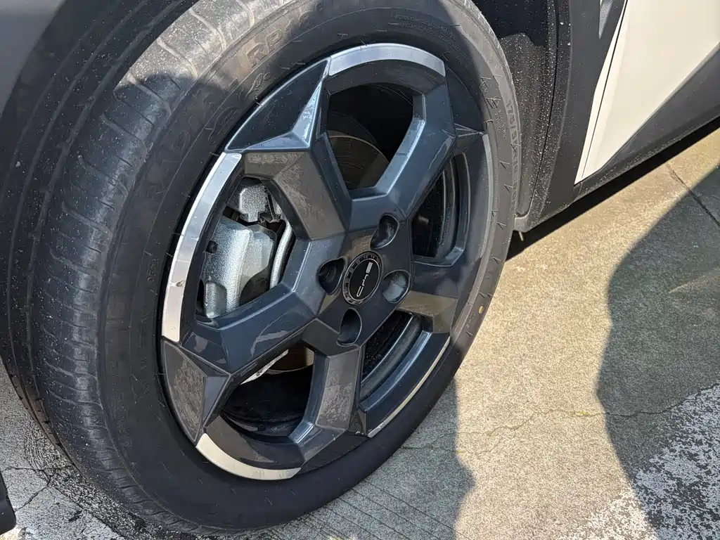 BYD Seagull 2024
