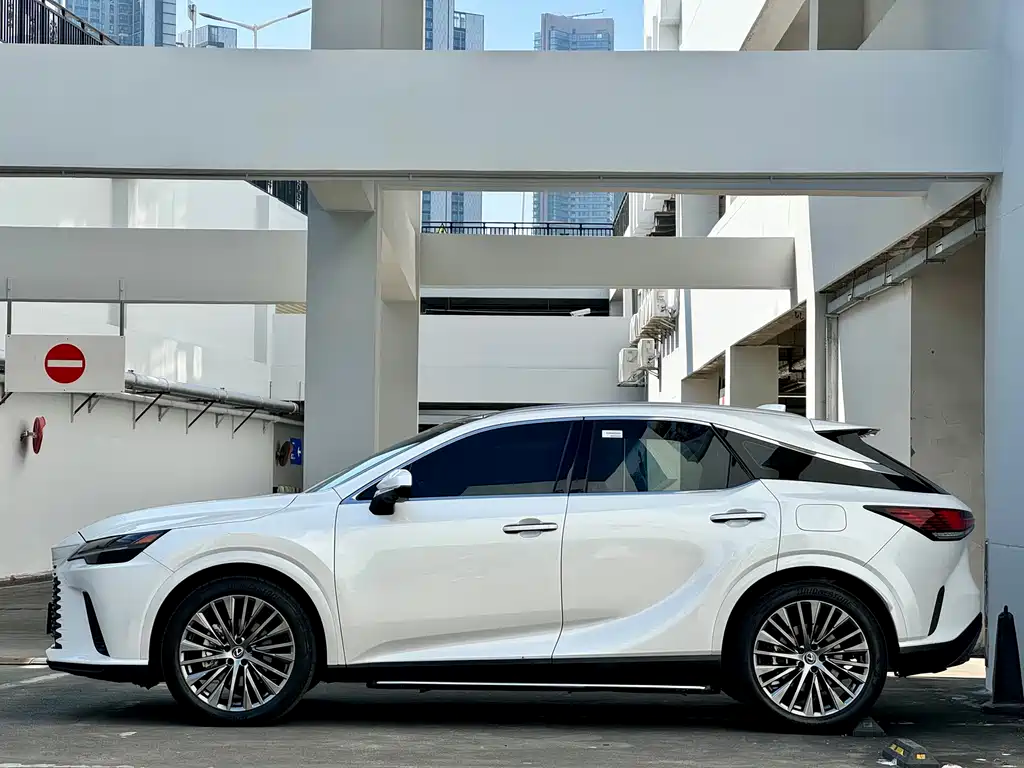 Lexus RX 2024 — фото 18