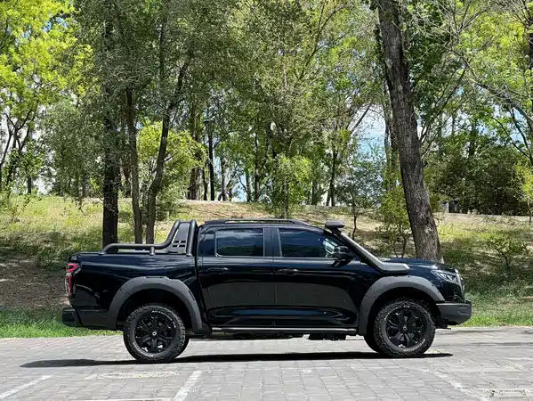 Great Wall Poer 2022