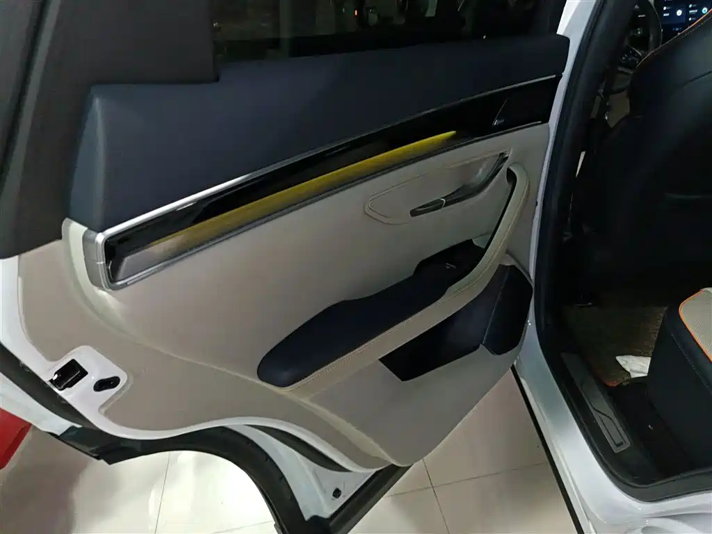 BYD PLUS New Energy 2021 — фото 22