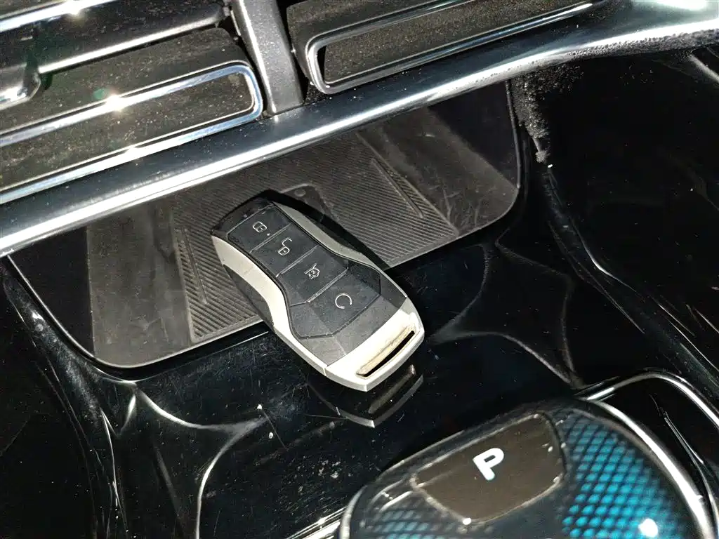 BYD PLUS New Energy 2021 — фото 18