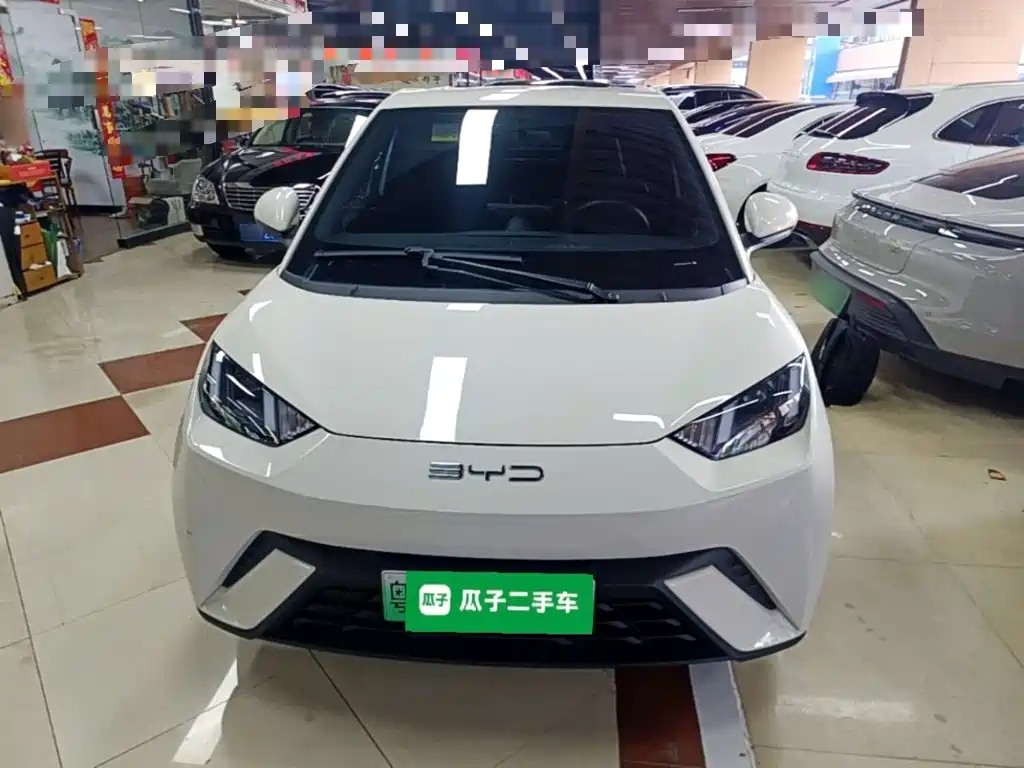 BYD Seagull 2023