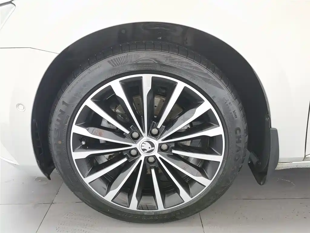Skoda Speedy 2018 — фото 17