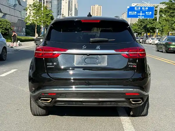 Hongqi HS5 2020