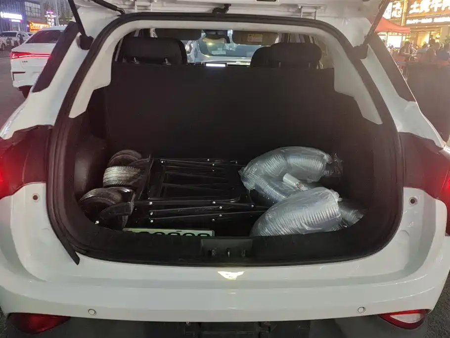 Neta V 2020