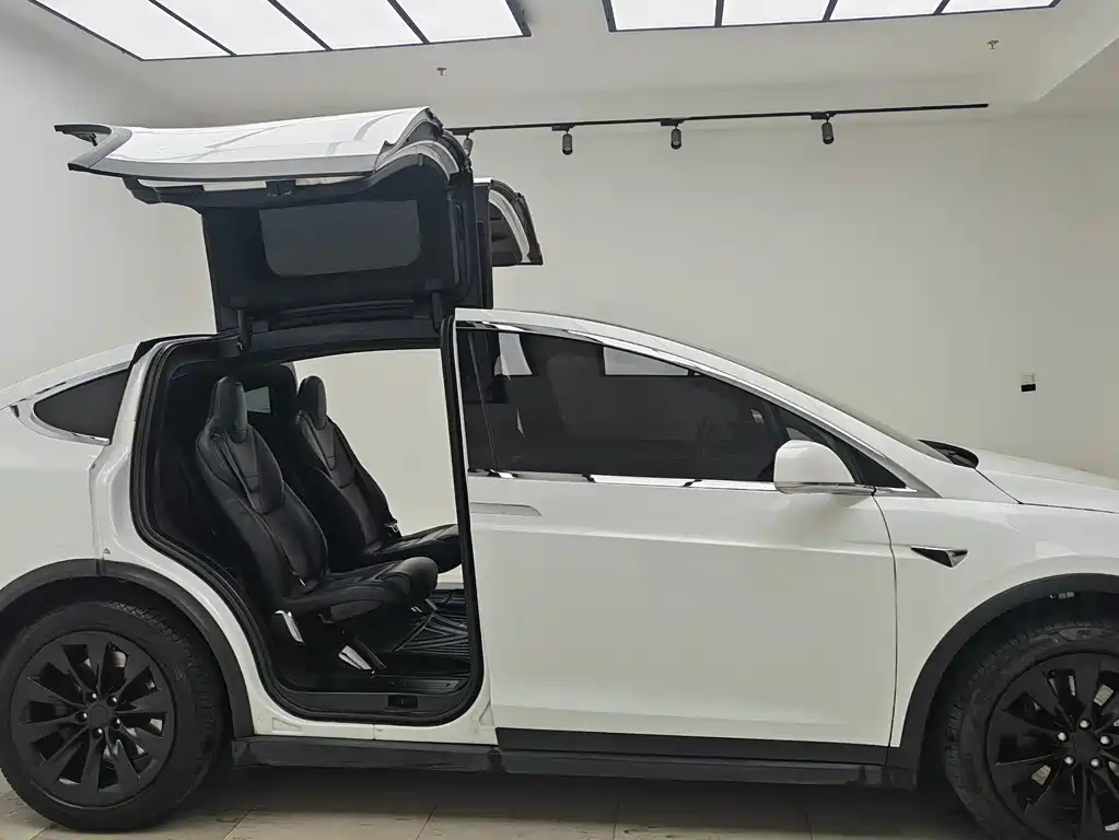 Tesla Model X 2017 — фото 9
