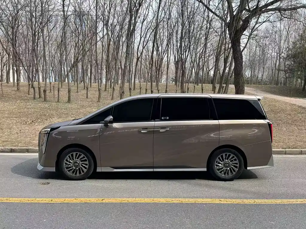 GAC Motor Trumpchi M8 2024 — фото 7