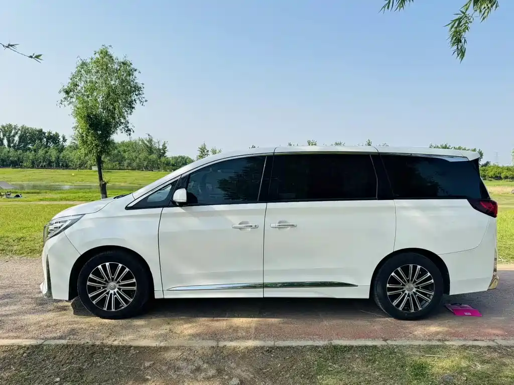 GAC Motor Trumpchi M8 2021 — фото 9