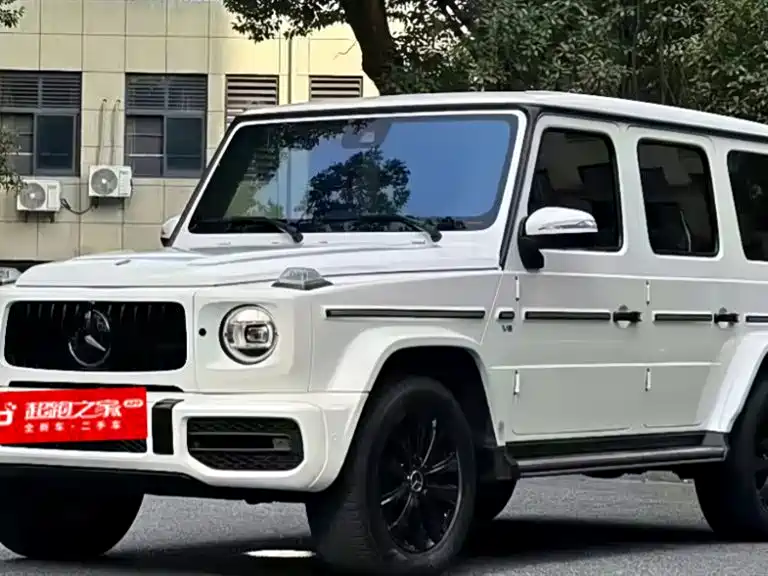 Mercedes-Benz G-Class 2019 — фото 1