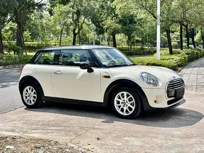 MINI MINI 2014