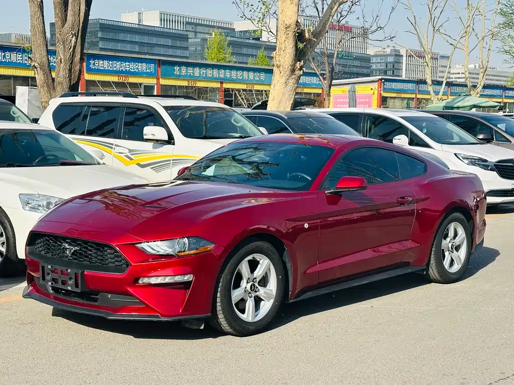 Ford Mustang 2019 — фото 1