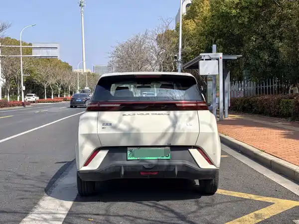 BYD Seagull 2024