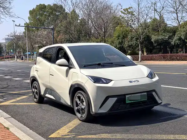 BYD Seagull 2024