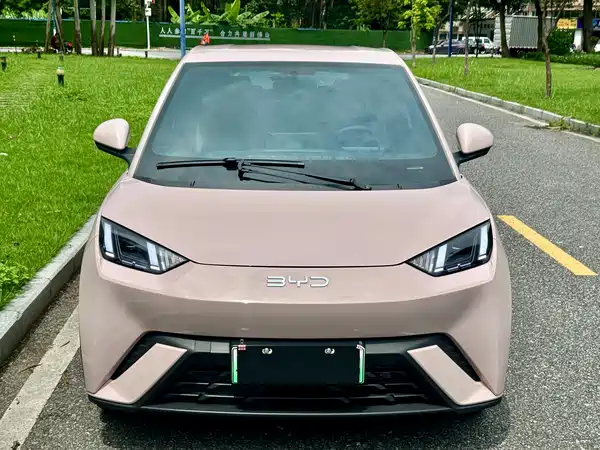 BYD Seagull 2024