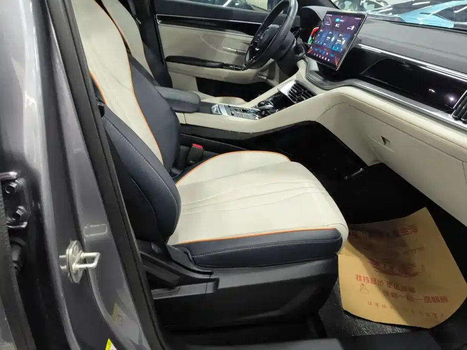 BYD Song PLUS New Energy 2023 — фото 8