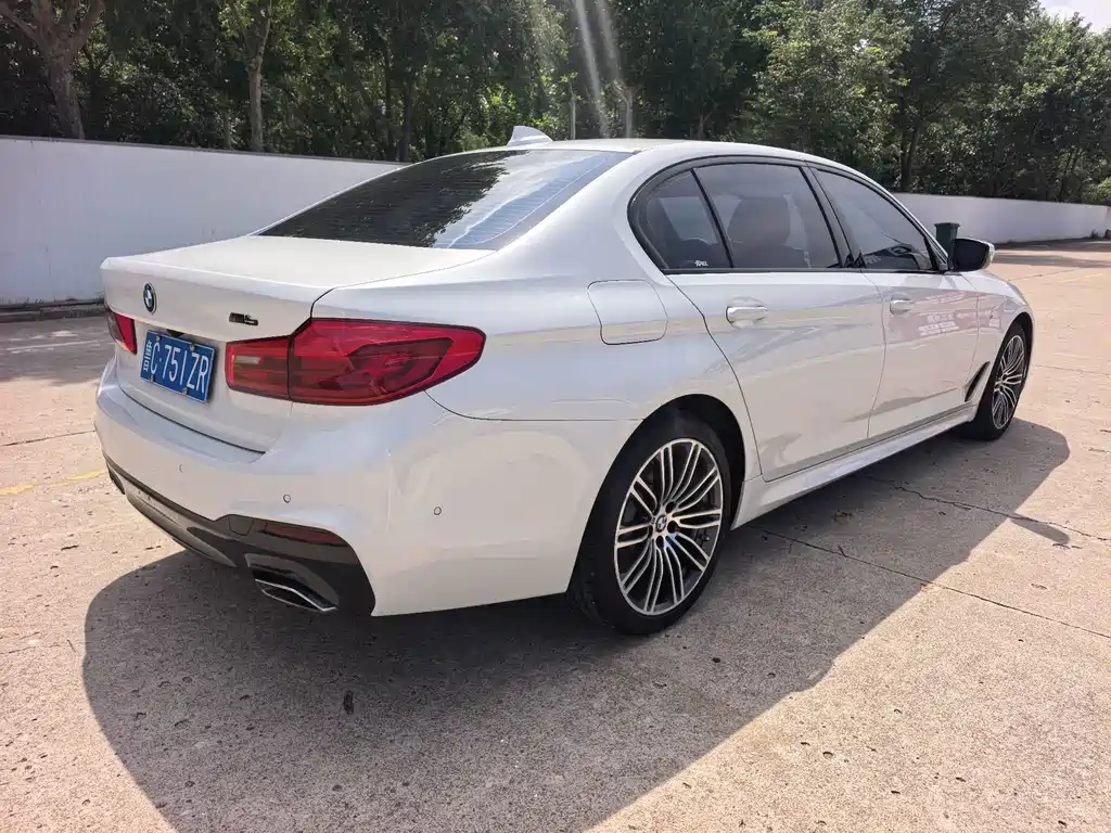 BMW 5 Series 2019