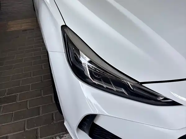 MG5 2021
