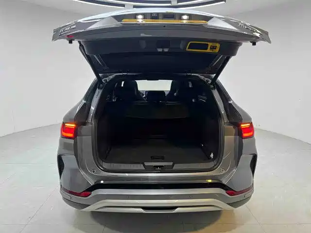 BYD Song PLUS New Energy 2024 — фото 15