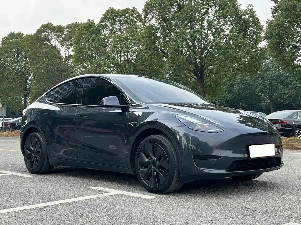 Tesla Model Y 2024 — фото 3