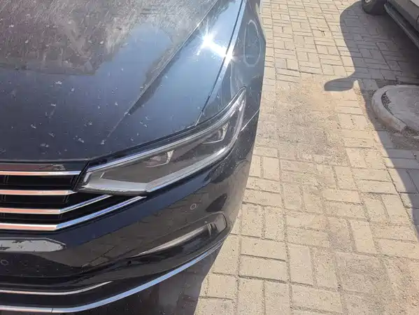 Volkswagen Magotan 2021