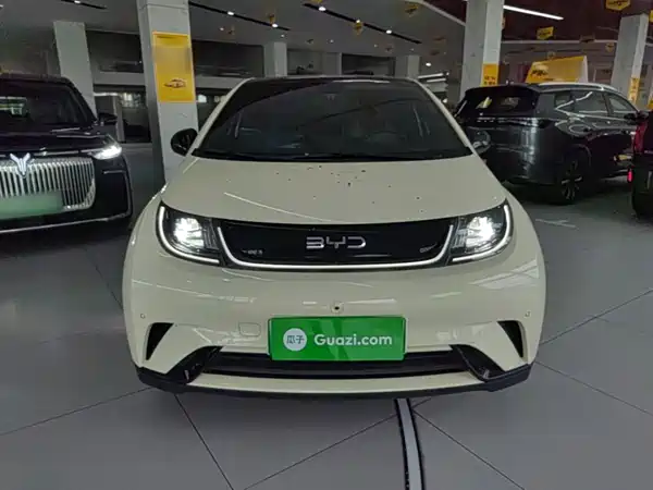 BYD Dolphin 2024