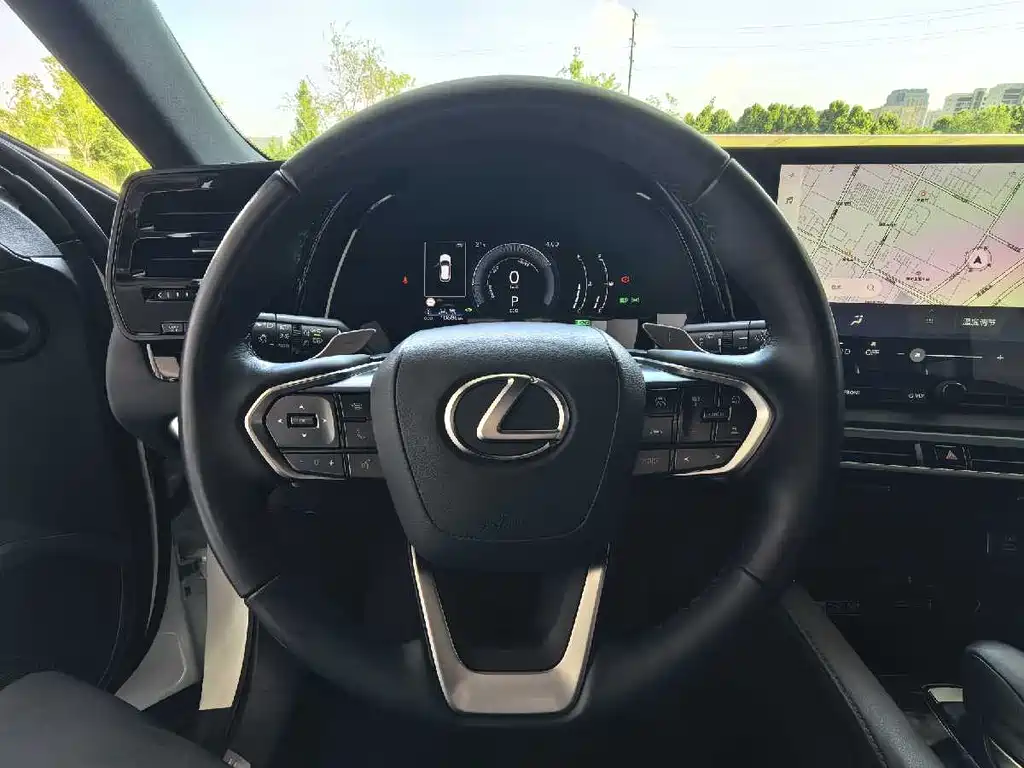 Lexus RX 2023 — фото 13