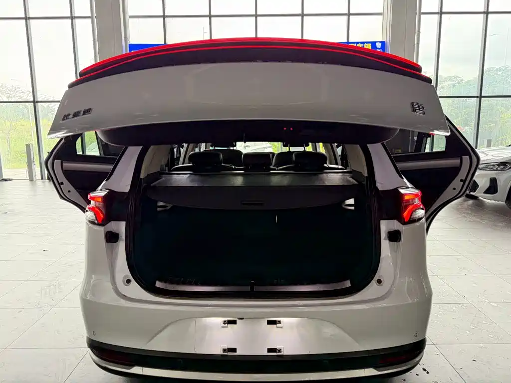 BYD Tang New Energy 2019 — фото 13