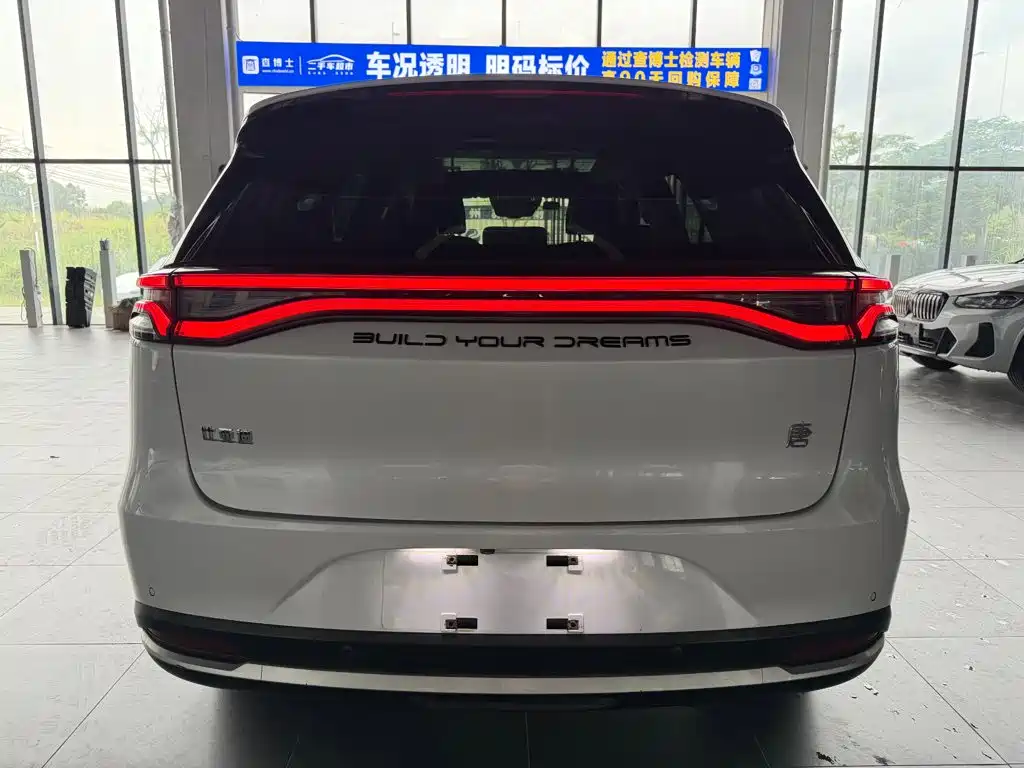 BYD Tang New Energy 2019 — фото 5