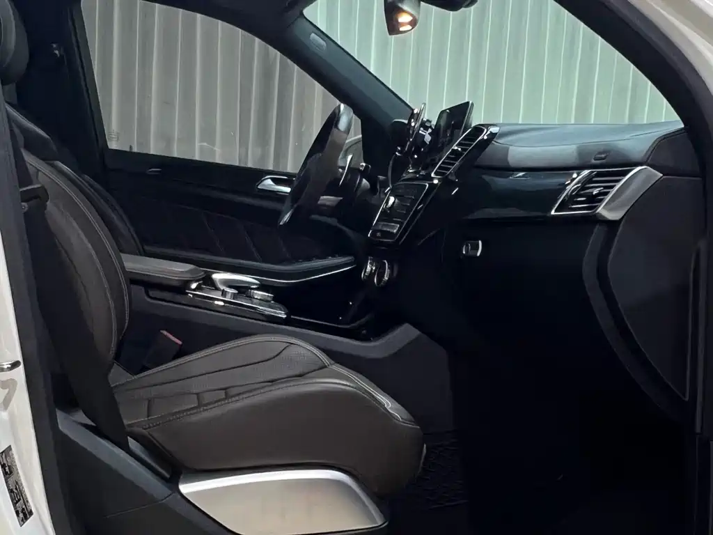 Mercedes-Benz GLS AMG 2019 — фото 20