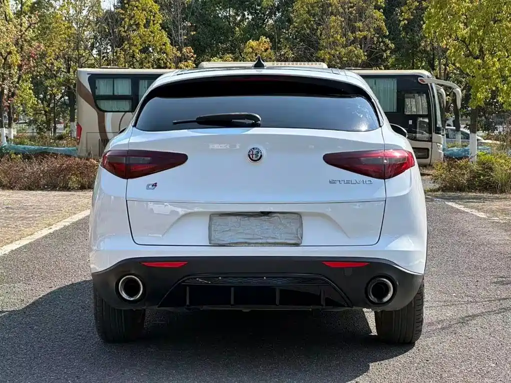 Alfa Romeo Stelvio 2018 — фото 8