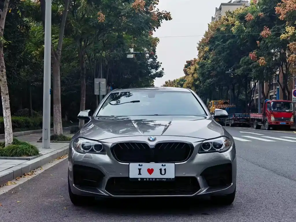 BMW 5 Series 2014